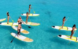 SUP Paddle Boarding in Barbados