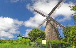 Barbados Windmill