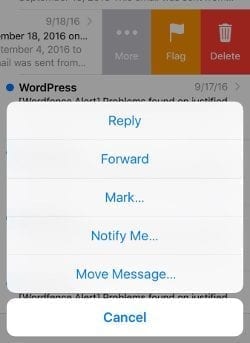 Screenshot of iPhone move messages screen