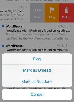 Screenshot of iPhone mail not junk screen