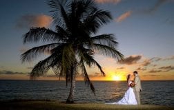 Barbados Weddings