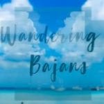 Wandering Bajans