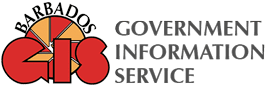 Government Information Service