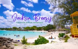 Jackson Breezy Apartment Rental