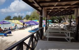 Tiki Bar in Barbados
