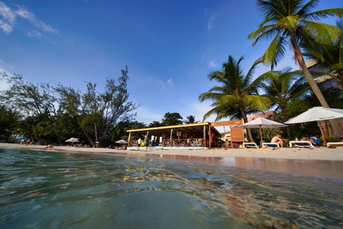 Tiki Bar - Totally Barbados