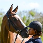 Equestrian Adventures in Barbados