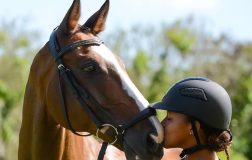 Equestrian Adventures in Barbados